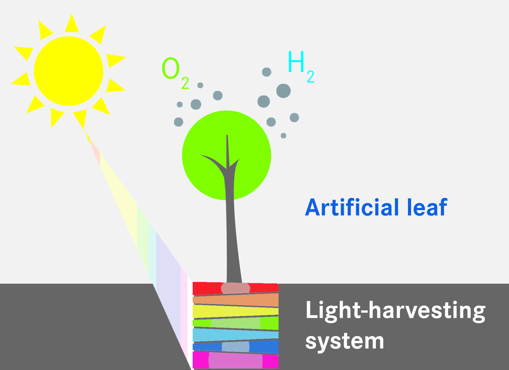 The path to artificial photosynthesis Renewable Carbon News