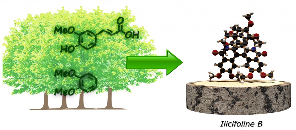 What are the industries least likely to be affected by stranded assets picture