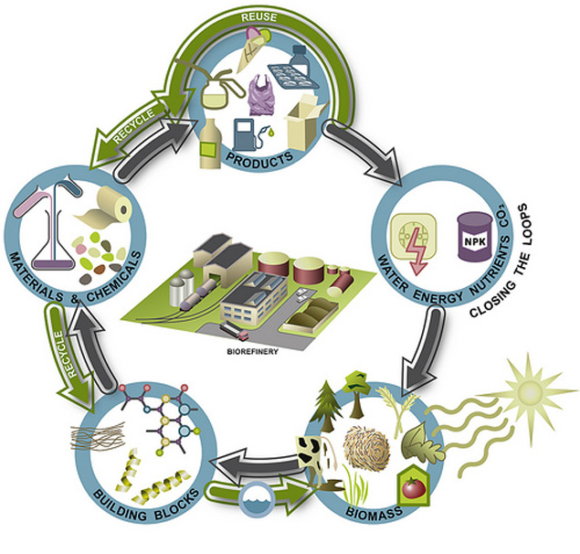 Bioeconomy Circular By Nature Renewable Carbon News