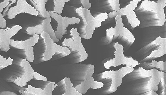 Wood-Based Alternative: Feminine Hygiene Fibres from Kelheim ...