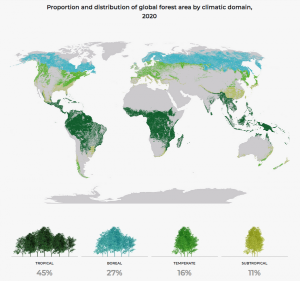 Global Forest Resources Assessment 2020 - Key findings2020 - Renewable ...