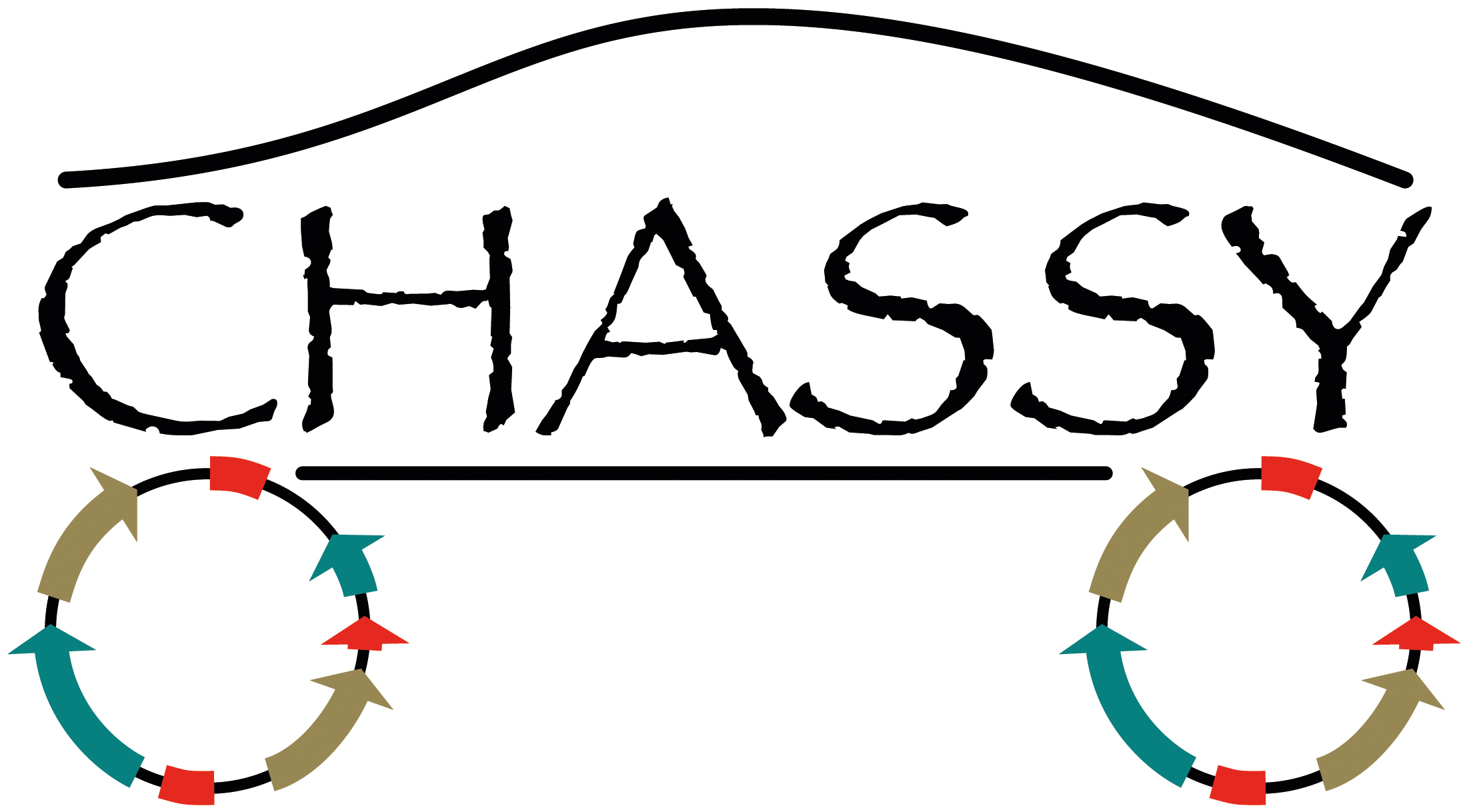 17-01-31-CHASSY-LOGO-3