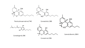 Cannabinoids-300x169