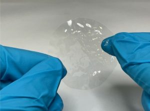Der neu hergestellte Bio-Kunststoff besteht aus hydroplastischen Polymeren
