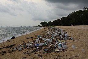 Plastic pollution is everywehere, nowadays. Litter on Singapore’s East Coast Park. Photo: vaidehi shah, Wikimedia Commons.