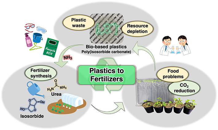 Figure 1. A fertilizer-from-plastics circular system. Using the degradation products of PIC as a nitrogen-rich fertilizer closes a sustainable loop that makes bioplastics a much more attractive option for addressing the environmental issues posed by conventional petroleum-based plastics. 