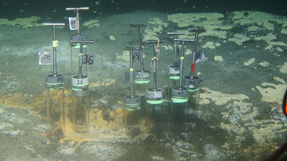 Sampling from the hot sed­i­ments of the hy­dro­thermal seep at the Guay­mas Basin off the coast of Mex­ico. The meth­ane-ox­id­iz­ing con­sor­tia live un­der­neath the whit­ish-yel­low and or­ange-colored bac­terial mats. 