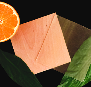 An extract from orange juice production is used to create the polymer that restores delignified wood's strength and allows light to pass through. 