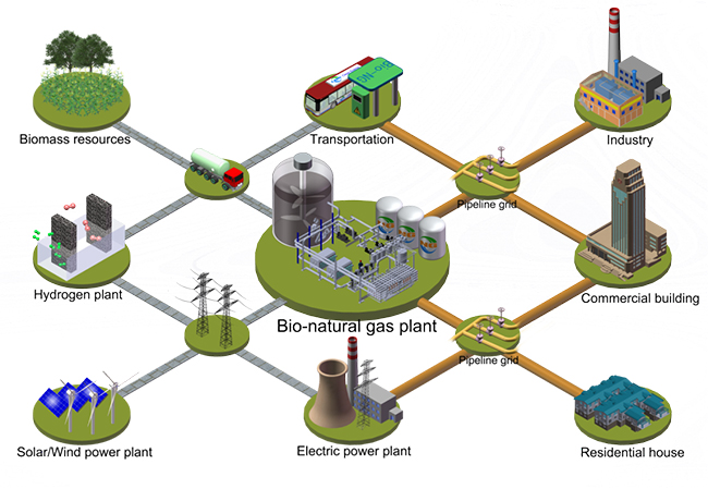 Conceptual diagram for bio-natural gas production from biomass