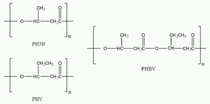 Polyhydroxyalkanoates