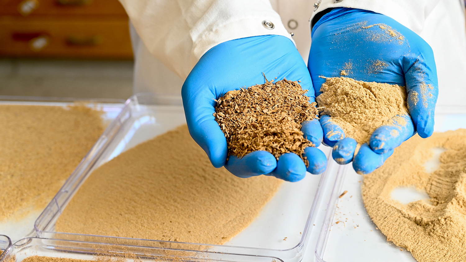 NC State researchers have discovered how to convert leftover sawdust powder and agro-residues into a Styrofoam-like packaging material.