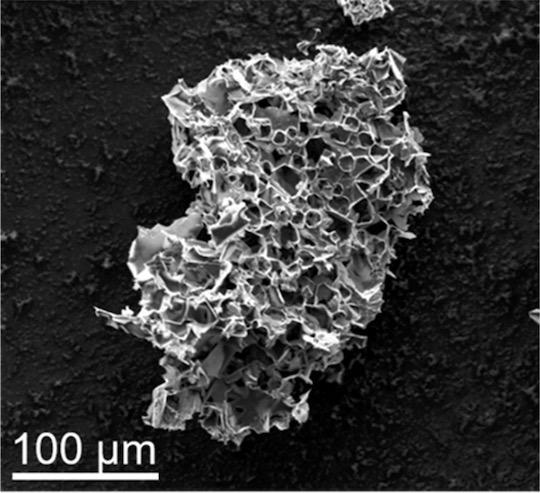 Pores in this micron-scale particle, the result of pyrolyzing in the presence of potassium acetate, are able to sequester carbon dioxide from streams of flue gas.