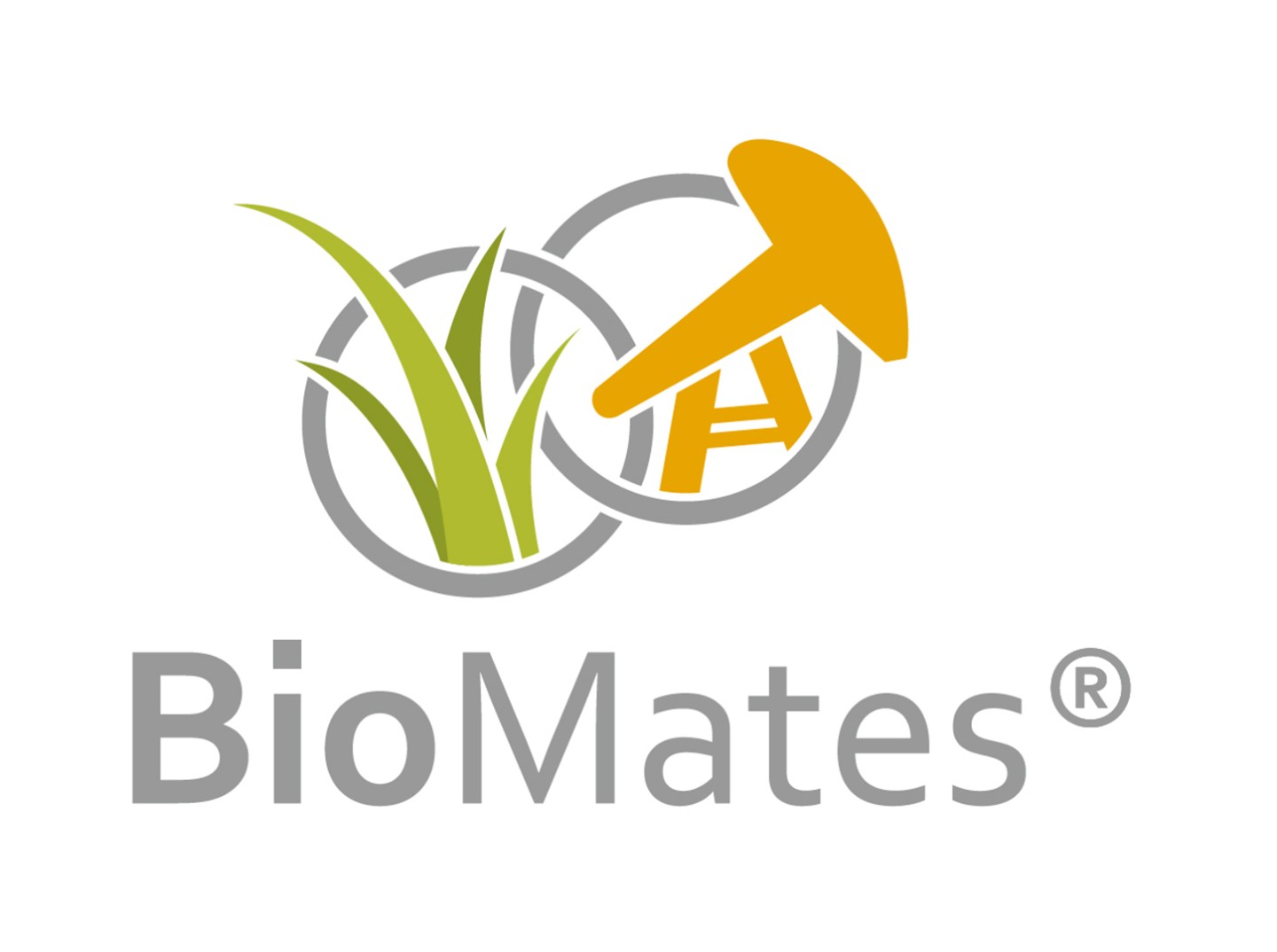Within the framework of BioMates, a process is to be established with which renewable raw materials can be processed on a large scale in refineries instead of crude oil.