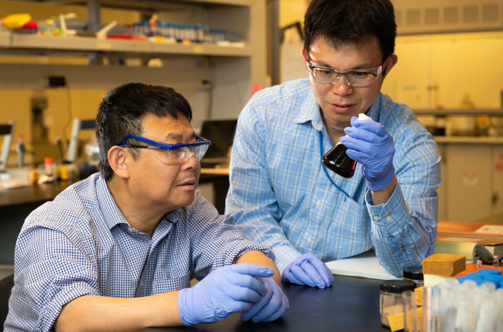 
Two researchers examine lignin products in the laboratory.Researchers Xiao Zhang (L) and Chun-long Chen (R) examine the products of lignin digestion by their novel biomimetic peptoid catalyst. (Photo by Andrea Starr | Pacific Northwest National Laboratory)