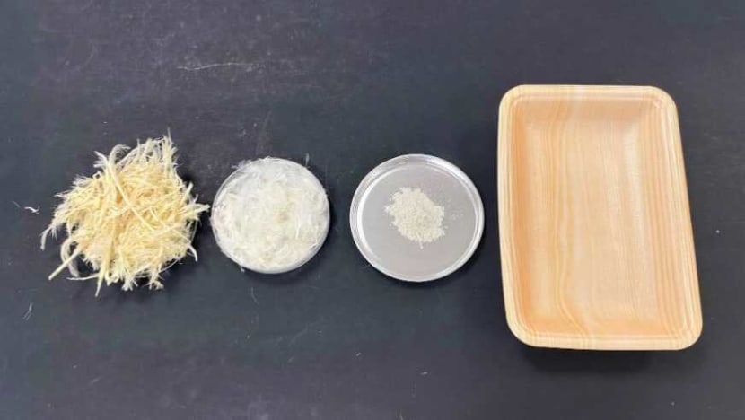 A step-by-step depiction of how chicken feathers are washed and ground into keratin powder, and the packaging materials which they would be used to manufacture. 