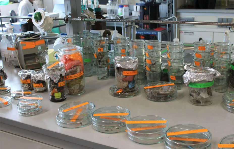 Samples from biowaste utilization plants in a laboratory for bioprocess engineering at the University of Bayreuth