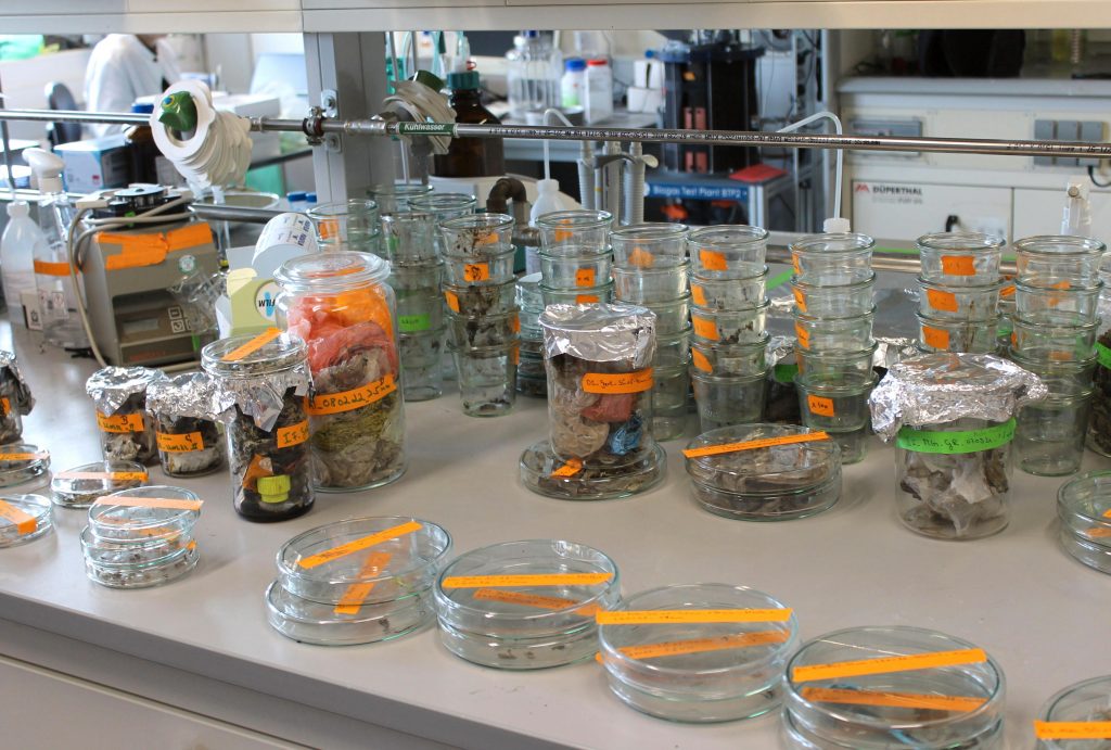 Proben aus Bioabfallverwertungsanlagen in einem Labor für Bioprozesstechnik der Universität Bayreuth.