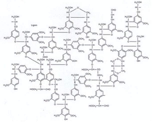 Lignin structure