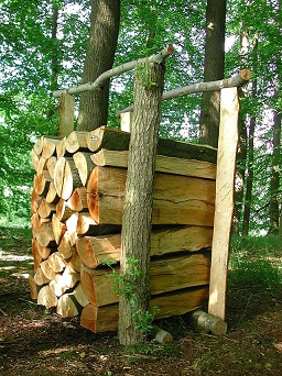 All lignin is derived from wood.