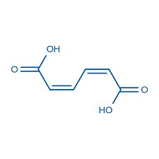 Cis,cis muconic acid