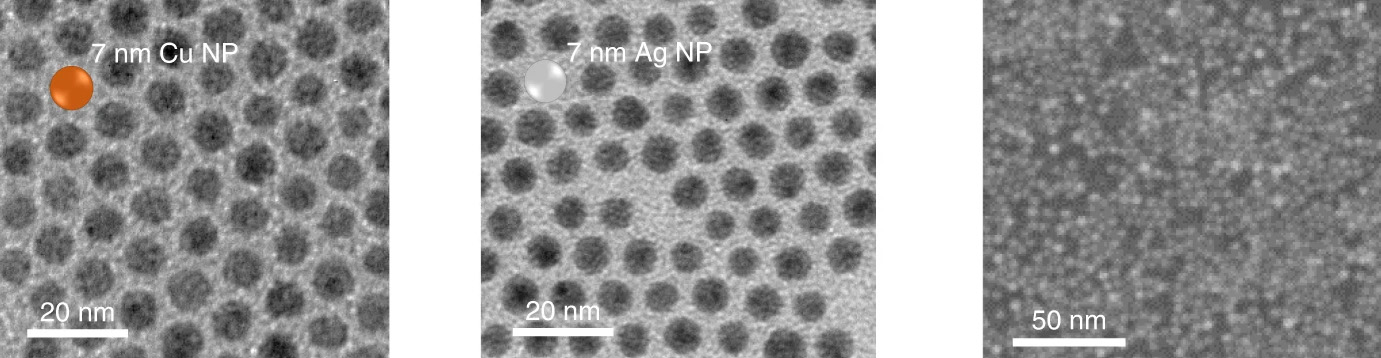 Electron microscopy images of 7-nanometer-diameter copper nanoparticles (shown left) and silver nanoparticles (center). At right: Electron microscopy image of ultrathin material synthesized from copper and silver nanoparticles, which could potentially be coupled with light-absorbing silicon nanowires for the design of efficient artificial photosynthesis systems