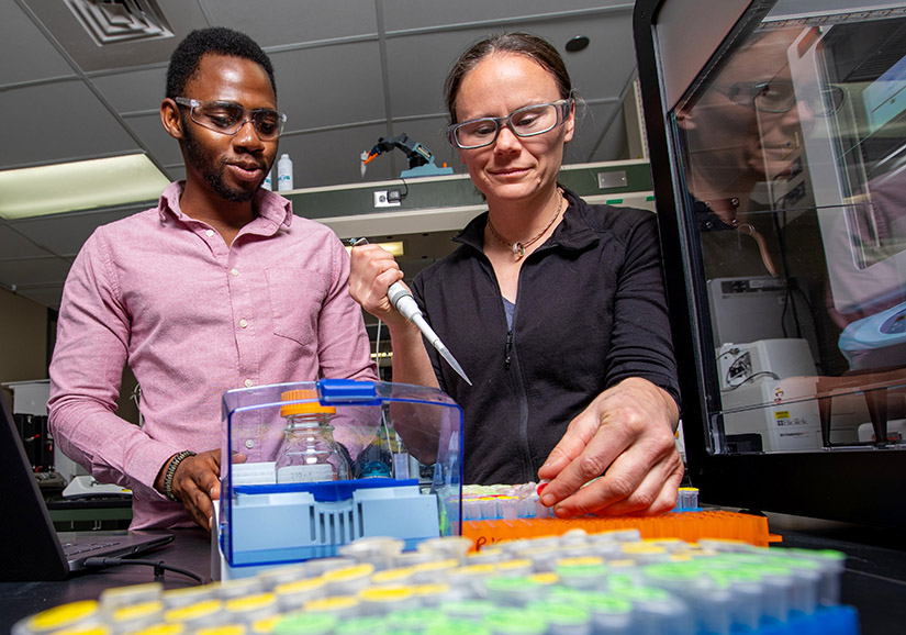 Researchers Japheth Gado (left), Erika Erickson (right), and colleagues have discovered and characterized enzymes that degrade crystalline PET, a plastic used in single-use beverage bottles, carpeting, clothing, and food packaging. 