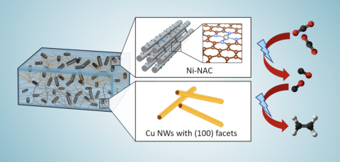 Left: Visual of the composite catalyst. Top Middle: The porous structure of the Ni-NAC aspect of the composite catalyst. The light blue represents the atomically dispersed Ni, the blue represents the Nitrogen, and the red shows the Carbon in the structure. Bottom Middle: This is a visualization of the copper nanowires. Right: These illustrate the Ni-NAC catalyzed reduction of CO2 into CO atoms by applying an electrical charge, then additional electrical addition causes the reaction of CO to produce ethylene.