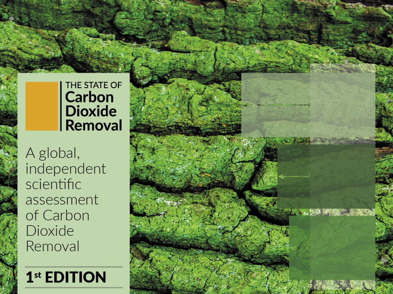 Erste Ausgabe: Der Bericht „State of CDR“ informiert künftig regelmäßig über die Situation beim Thema CO2-Entnahmen aus der Atmosphäre.