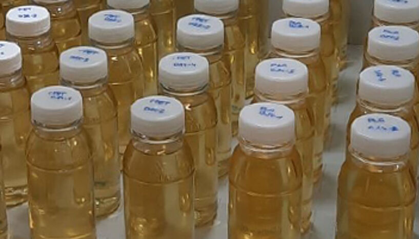 PLA Flaschen zur Abfüllung von Speiseölen als nachhaltige Alternative zu PET Flaschen