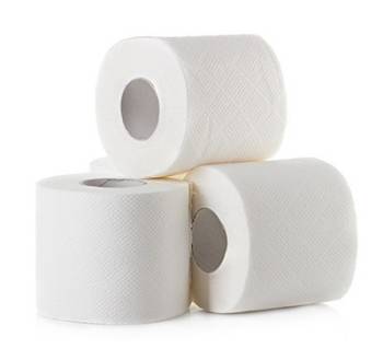  Toilet paper from around the world contains low levels of PFAS, likely contributing these “forever chemicals” to wastewater.
