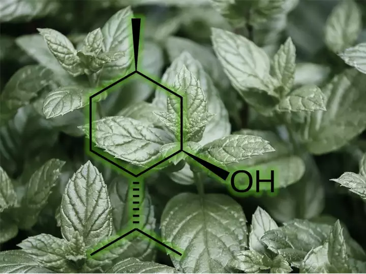 Menthol is a substance that naturally comes from mint plants. The substance is also produced synthetically, though.