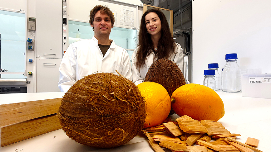 Peter Olsén and Céline Montanari, researchers in the Department of Biocomposites at KTH Royal Institute of Technology in Stockholm, say the new wood composite uses components of lemon and coconuts to both heat and cool homes. 