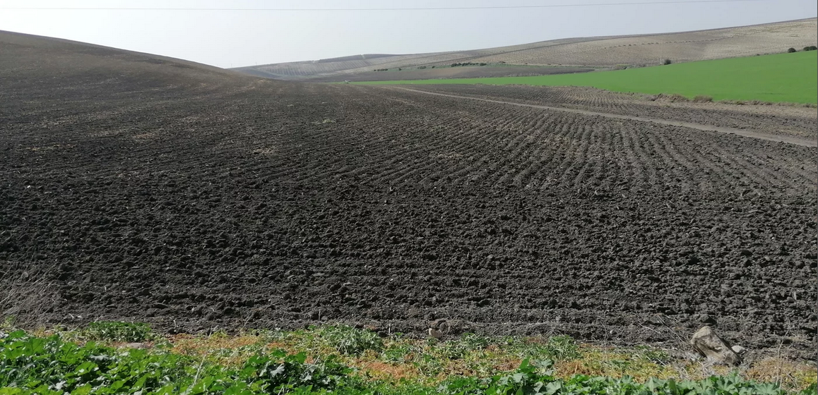Landwirschaftlich genutzte Böden in Südeuropa.