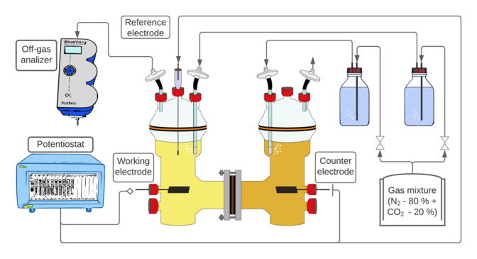 Schematic representation of the experimental setup: The bacterial culture grows in one of the containers, electricity and CO2 are supplied. A second container is used for the electrochemical counter-reaction; oxygen is produced here