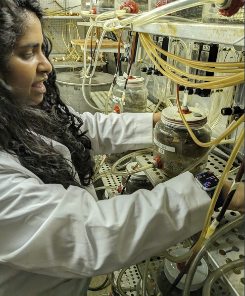 Michigan State University doctoral student Pooja Mayekar explains the experiments the team conducted to show how well its compostable polymers composted.