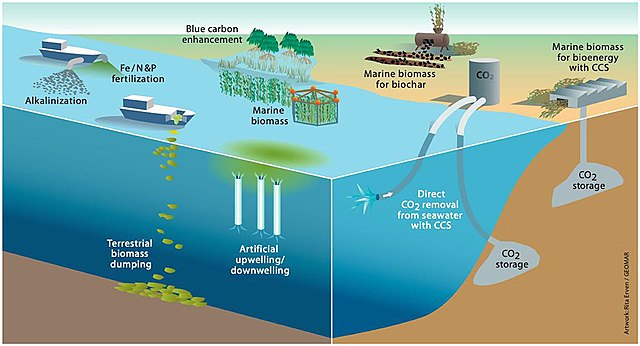 Proposed marine carbon dioxide removal options. 