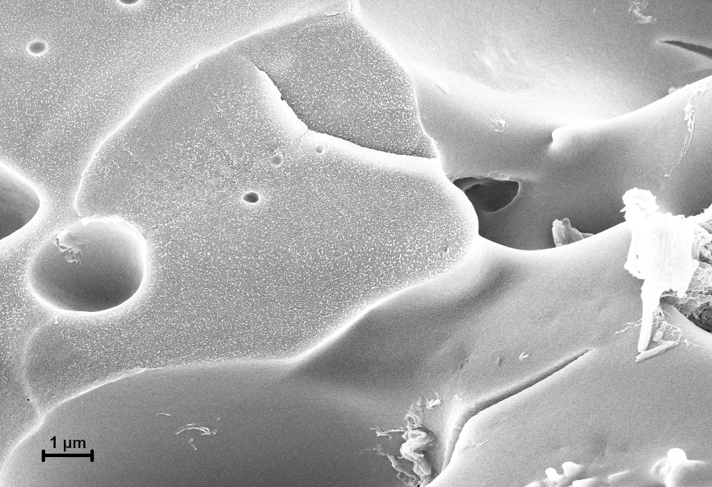 Scanning electron microscope image of the new mineral plastic