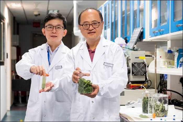 Dr Liang Yen Nan (left) and Professor Hu Xiao (right) of NEWRI showcasing their sustainable and innovative technique of converting kale waste into valuable ingredients for health and personal care products.