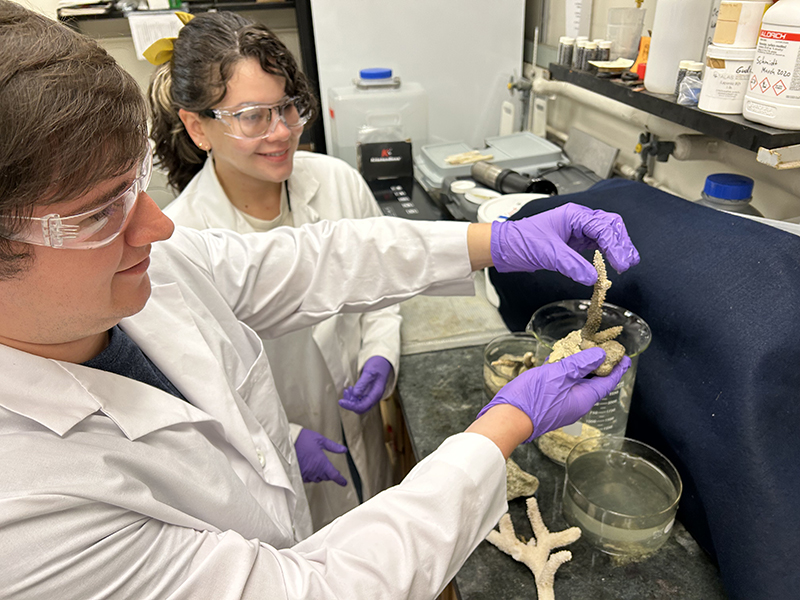 Aaron Mena (left) and Jennifer Garcia Rodriguez, graduate students in Purdue University’s Department of Chemistry, affix corals using adhesive formulations developed from fully sustainable, bio-based components. The formulations could have applications in the construction, manufacturing, biomedical, dental, food and cosmetic industries as well as coral reef restoration.