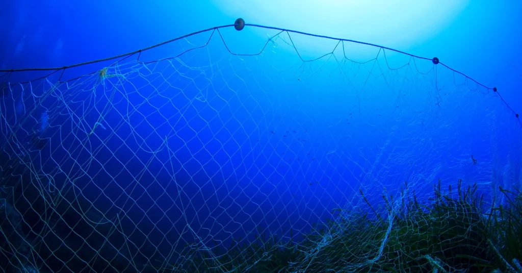 Compostable fishing nets: An end to Ghost Nets in the oceans