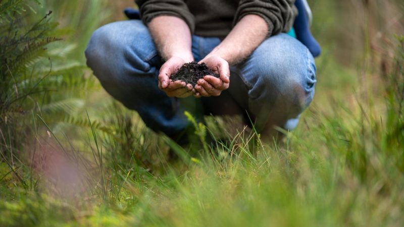 Carbon farming certification to cover soil and wetland management ...