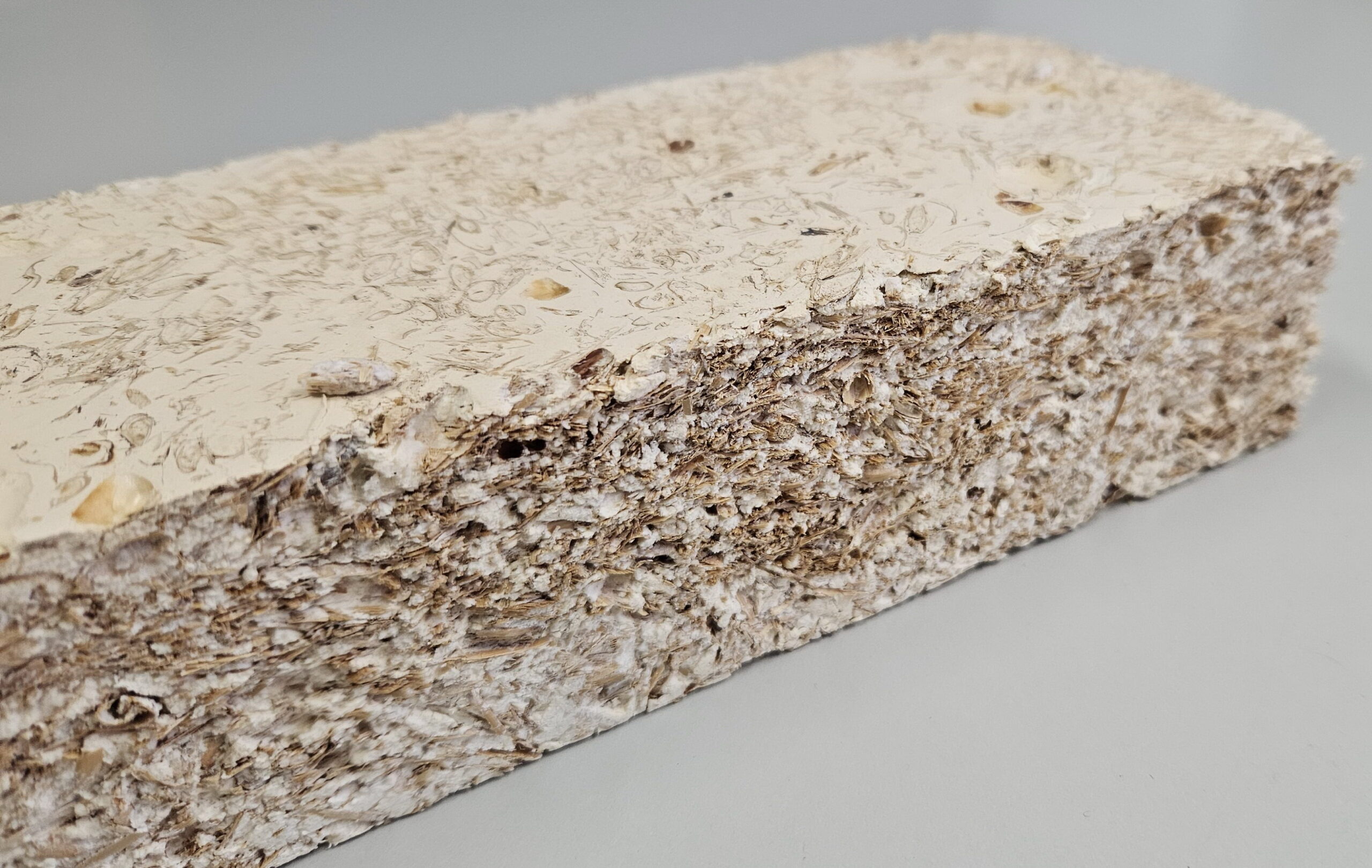 Mycelium Can Help Us Avoid Packaging Waste - Renewable Carbon News