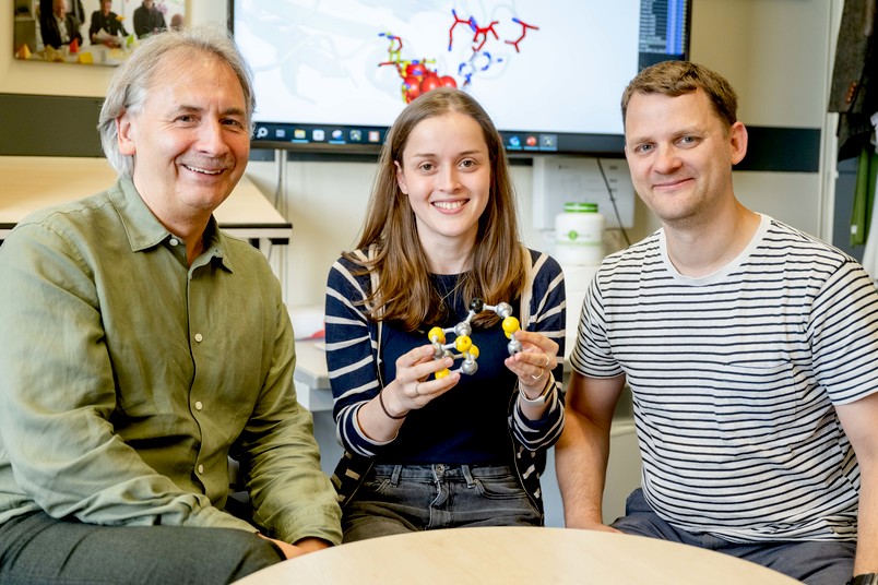 
Thomas Happe, Rieke Haas und Ulf-Peter Apfel (von links) untersuchten das katalytische Zentrum der Algen im Detail, um die Voraussetzungen für die Wasserstoffherstellung besser zu verstehen.
