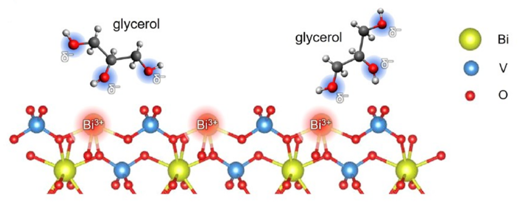 The glycerol’s hydroxyl groups are attracted to the Bi3+ ions on the surface of the BiVO4 photoanode. The electrolyte plays a decisive role in mediating these interactions.