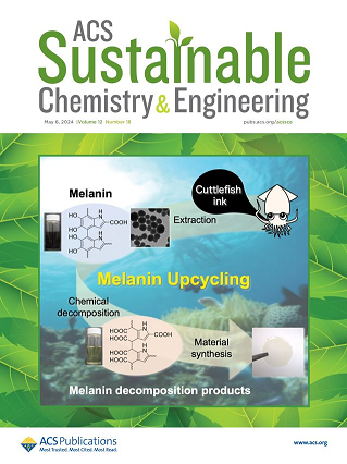 Researchers investigated the chemical decomposition products of melanin and explored its potential in the synthesis of biopolymers. According to their findings, melanin could soon become a valuable biomass resource. 