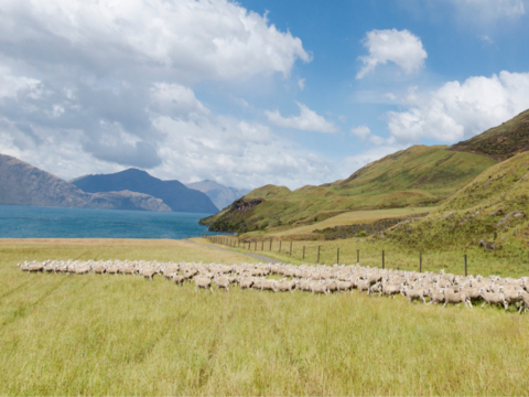 Southern Lakes District of New Zealand