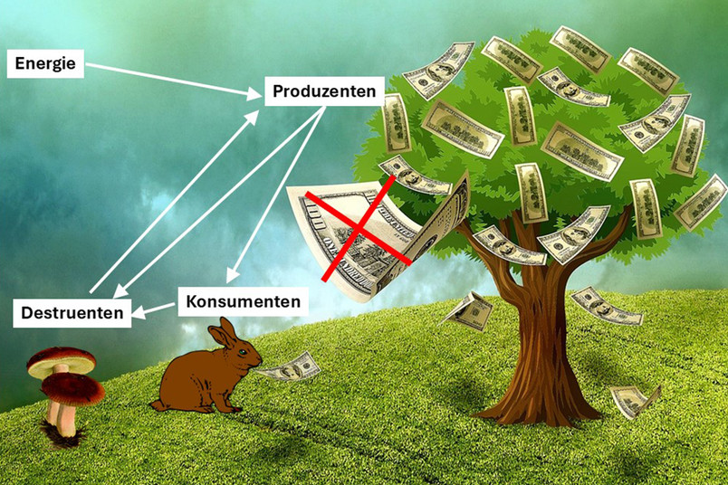 
In der Circular Economy und Bioökonomie werden oft Analogien zwischen natürlichen und ökonomischen oder technischen Systemen hergestellt. Dieser Vergleich lässt wichtige Unterschiede unberücksichtigt.
