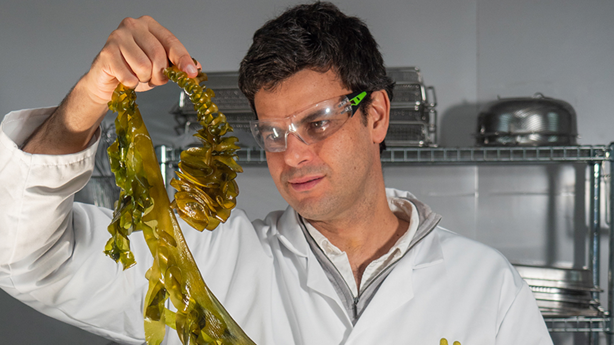 Notpla Secures £20 Million in Series A+ Funding to Revolutionise ...