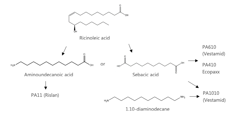 Figure 2. Ricinoleic acid to polyamides.