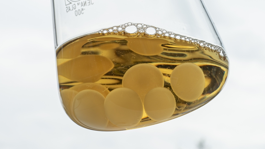 Gerade im Bereich der Materialwissenschaft sind Pilze noch zu wenig erforscht und genutzt.